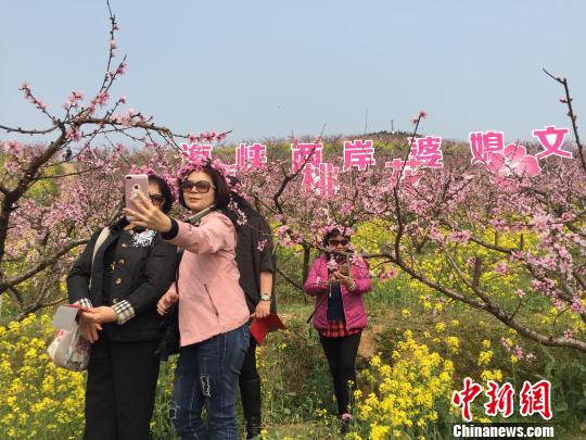 圖為海峽兩岸婆媳在桃花樹下合影留念。　林波 攝