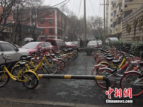 風雪中的共用單車。<a target='_blank'  _fcksavedurl='http://www.chinanews.com/' ></table><p  align=