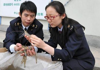 廣東設(shè)供港農(nóng)産品安全區(qū)有望徹底解決農(nóng)藥殘留問(wèn)題