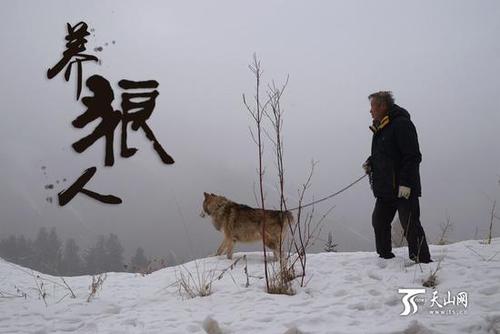 71歲的楊長(zhǎng)生在野狼谷整日與群狼朝夕相伴