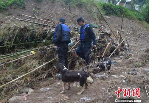 圖為公安警犬搜救隊搜尋小媛。 文成警方供圖