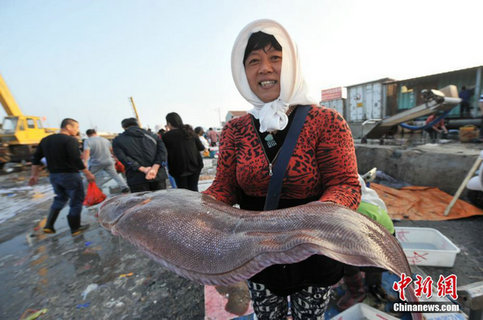 青島漁村廉價(jià)海鮮搶手