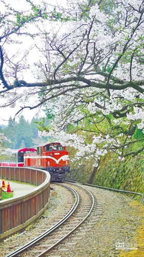 大陸赴臺(tái)遊客持續(xù)增長(zhǎng)兩岸旅遊業(yè)各自強(qiáng)力推銷