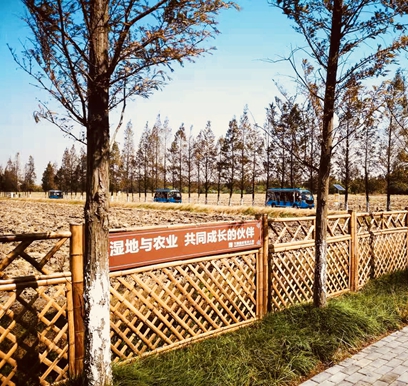 天福國(guó)家濕地公園_副本.jpg