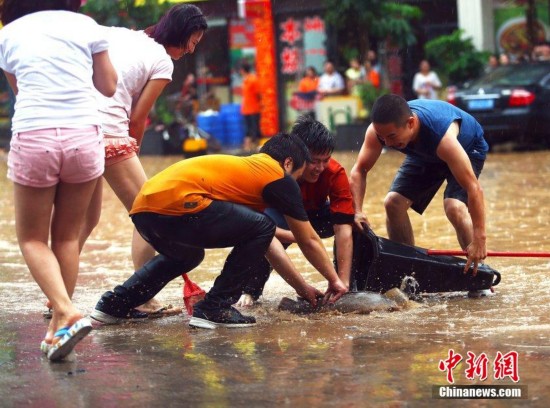 東莞多地“水浸街” 市民街頭抓魚