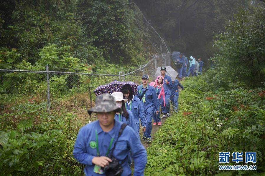 臺灣青年“探秘”大熊貓野化培訓(xùn)基地