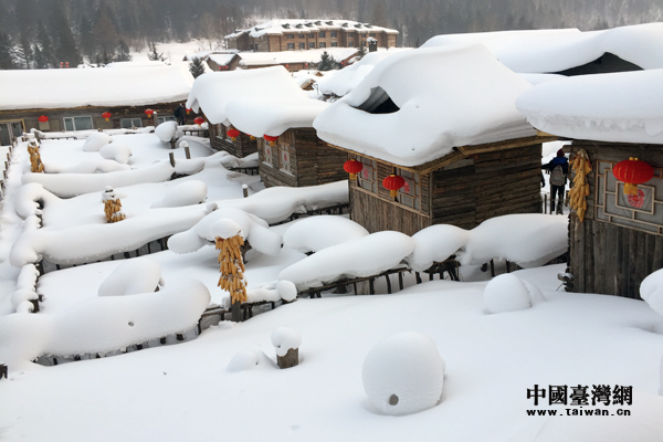 臺灣學生哈爾濱“冰雪之旅”初體驗：雪美、天冷、心暖