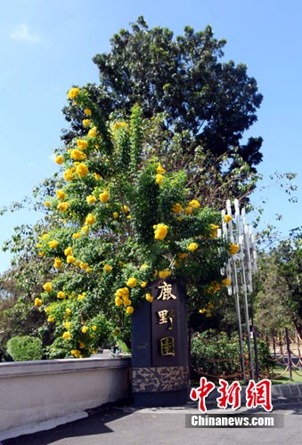 臺(tái)灣中臺(tái)禪寺大陸游客絡(luò)繹