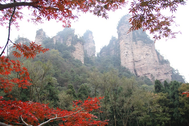 臺(tái)航直飛張家界賞美景  秋冬旅遊産品受歡迎