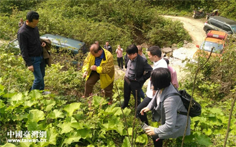 臺(tái)商到雅安市天全縣、滎經(jīng)縣考察山葵種植項(xiàng)目