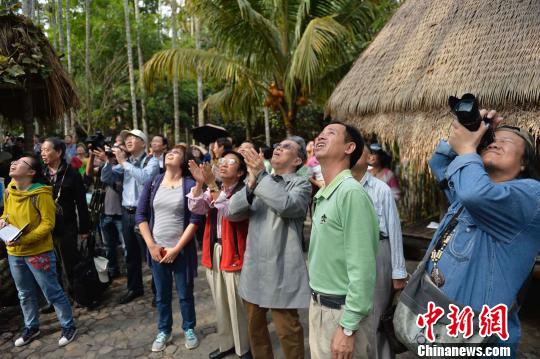 兩岸藝術(shù)家走進(jìn)海南檳榔谷盛讚原生態(tài)黎苗文化