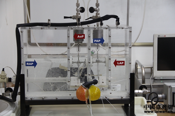 鳳凰全人工心臟模擬實驗。
