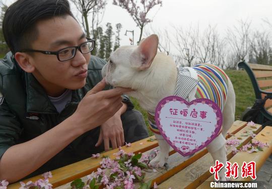 成都“單身狗”公園內(nèi)徵婚求脫單引圍觀