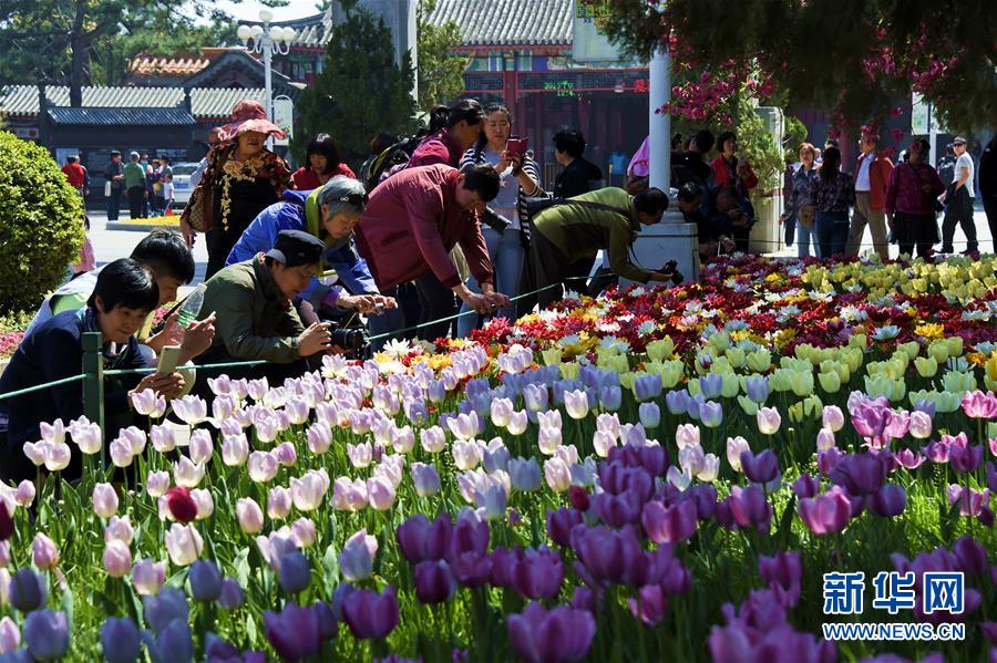 京城四月天 百花齊爭(zhēng)艷