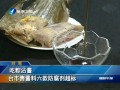 吃粽沾醬 臺市售醬料六款防腐劑超標