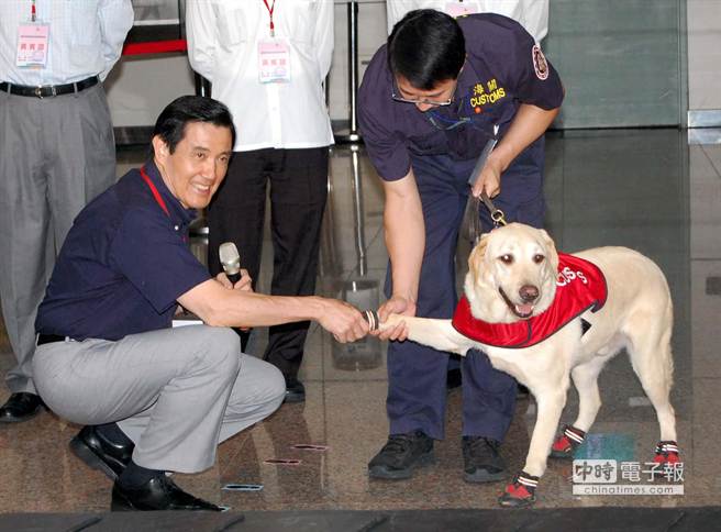 馬英九視察桃園機(jī)場 與緝毒犬握手互動(dòng)（圖）