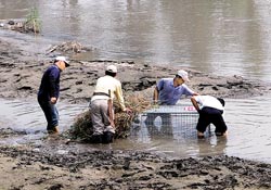 把活鴨放在菜籃中製作成籠中籠，引誘鱷魚進(jìn)陷阱。圖片來(lái)源：臺(tái)灣《中國(guó)時(shí)報(bào)》