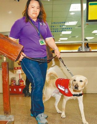 遭路人打瞎眼睛導(dǎo)盲犬法庭聆判成臺灣首例（圖）