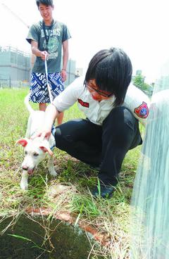 小狗不慎掉入深水井攀在梯桿上得以脫困