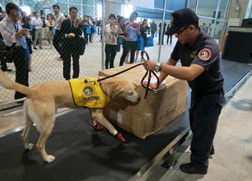 臺(tái)當(dāng)局保障工作犬工時(shí)公務(wù)員嘆“人不如狗”