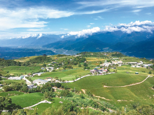 花蓮富裏鄉(xiāng)六十石山、玉裏鎮(zhèn)赤科山的金針花最近都進入盛開期,山頂望去如大片金黃色地毯,壯觀又美麗。 記者陳麗婷 攝