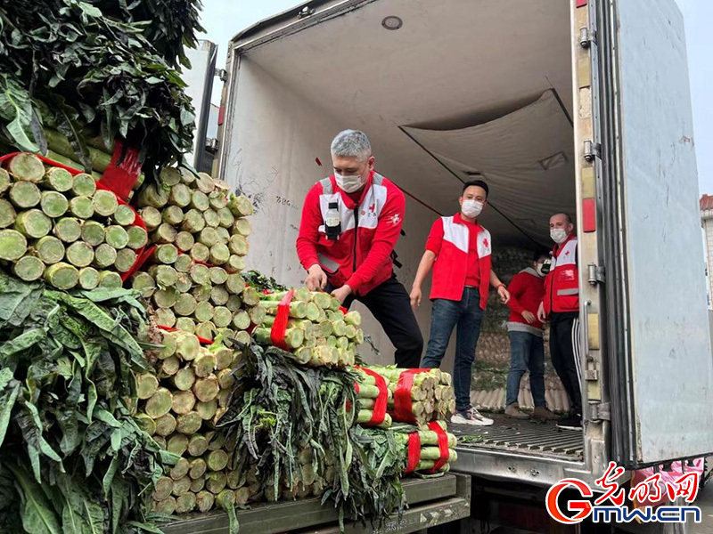 一起守“滬”|再出發(fā)！又一批愛心蔬菜馳援上海