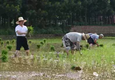 退休官員變身新鄉(xiāng)賢 南昌市原市長還鄉(xiāng)做農(nóng)夫