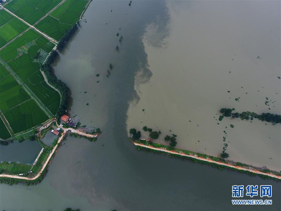 湖北黃梅縣考田河堤出現(xiàn)潰口 數(shù)千人緊急轉(zhuǎn)移