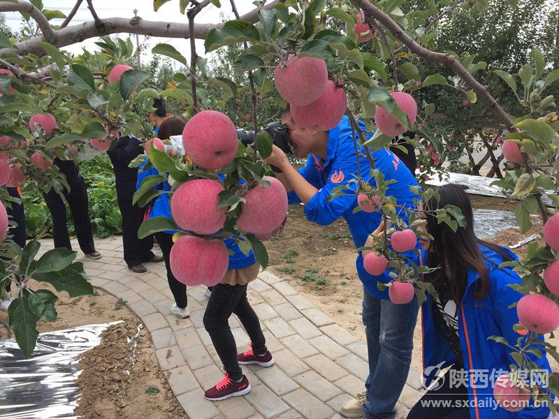 採訪團抵達洛川蘋果園