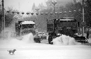 2月19日，在新疆阿勒泰地區(qū)布爾津縣城，清雪車在清掃路面積雪。新華社發(fā)