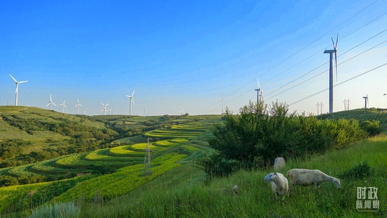 △山西右玉在70多年中從不毛之地變成塞上綠洲，2020年習近平在山西考察時強調要弘揚“右玉精神”。（圖/視覺中國）