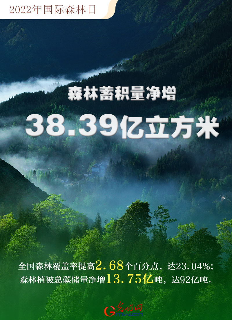 【海報】2022國際森林日：數(shù)讀全球增綠的中國貢獻