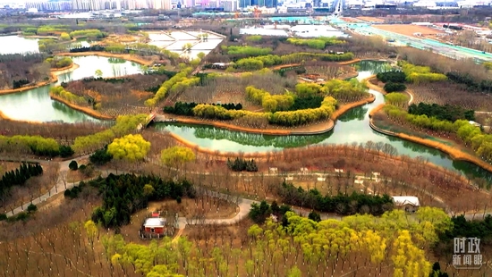 △當(dāng)天的植樹點位於大興新城城市休閒公園。（總臺央視記者劉岳、陸博第拍攝）