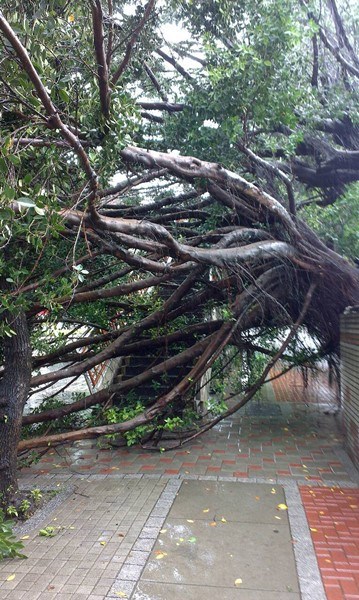 梅雨季造成臺灣中部豪雨成災(zāi)