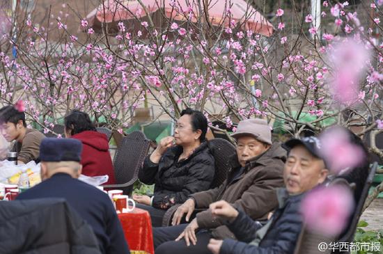 “花”下的遊客打擁堂。