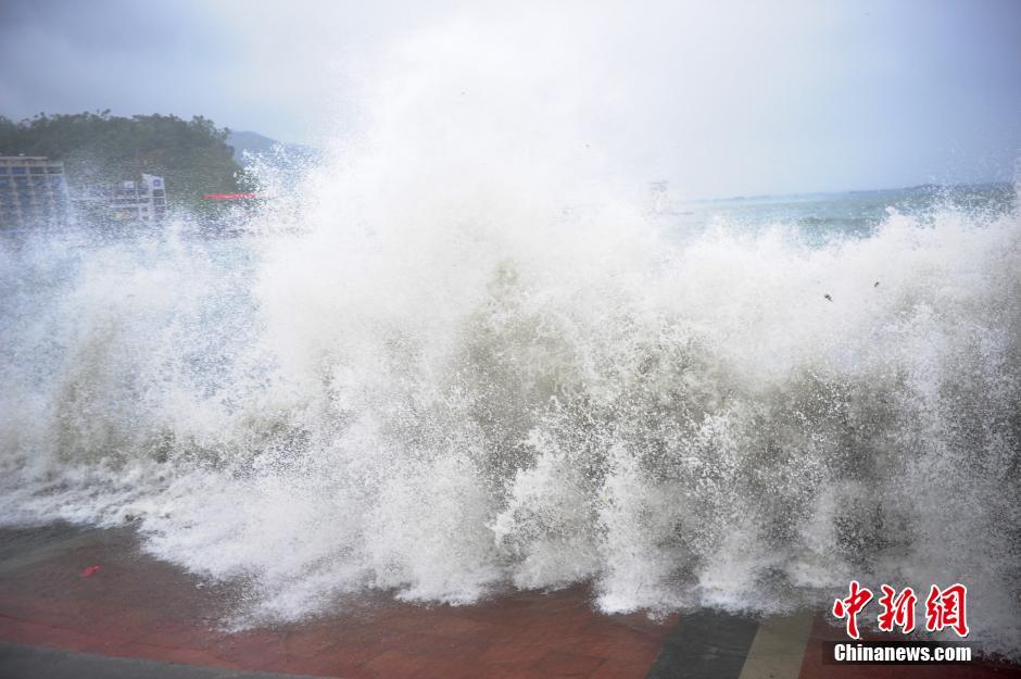 颱風“妮妲”襲擊深圳 海邊掀數(shù)米巨浪[組圖]