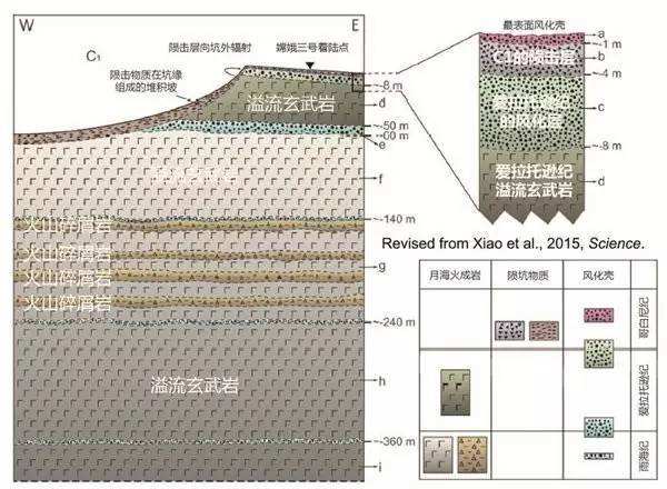 與孤獨鬥爭972天 那只頑強的兔子永遠離開了我們