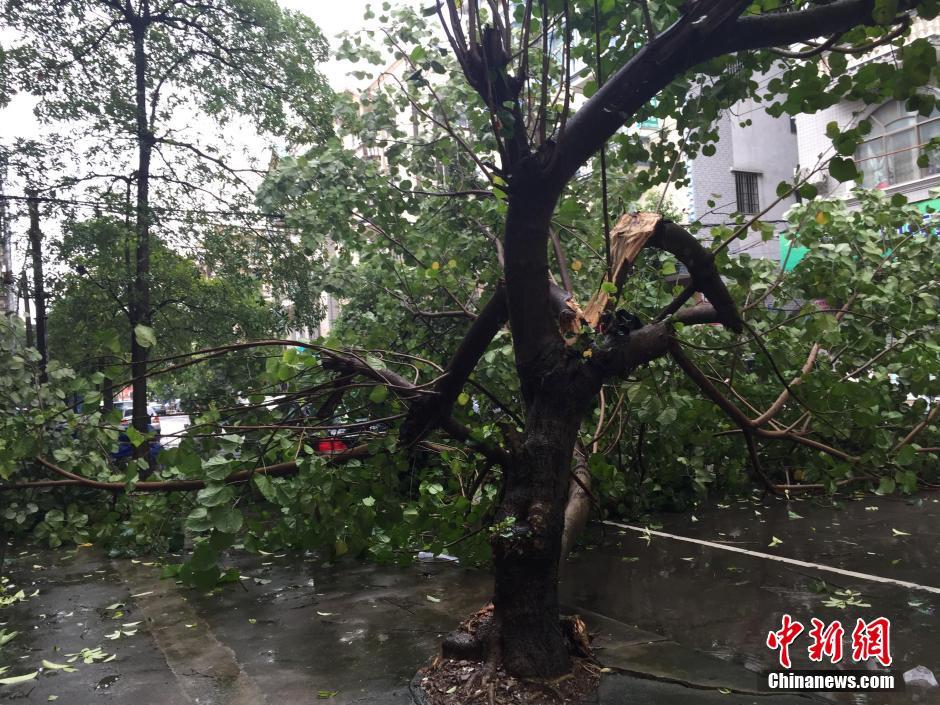 颱風(fēng)“電母”攜暴雨襲擊中越邊境