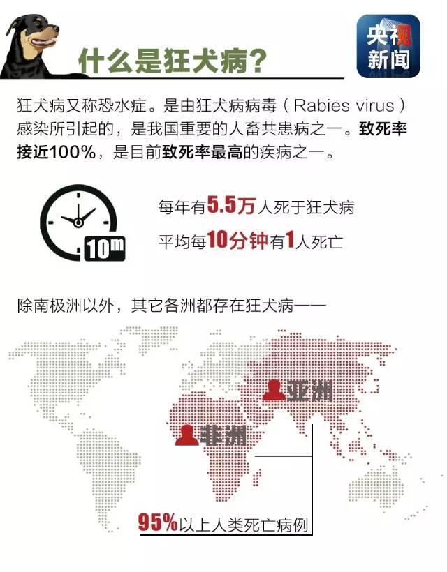 狂犬病致死率接近100%！了解這些知識讓你遠離它！