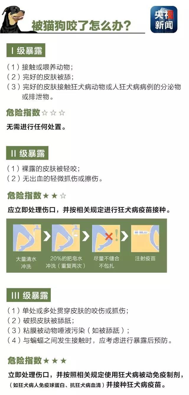 狂犬病致死率接近100%！了解這些知識讓你遠離它！