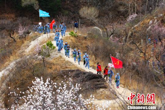 北京將現(xiàn)長城花海八達嶺古長城杏花節(jié)開幕