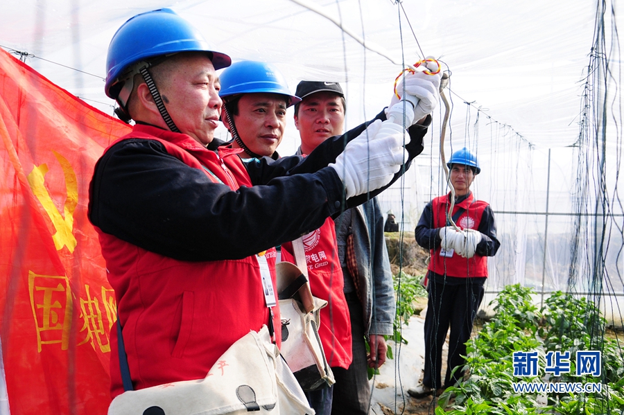 (網(wǎng)路媒體走轉(zhuǎn)改)福建建甌有支春耕保電服務(wù)隊(duì) 解菜農(nóng)後顧之憂