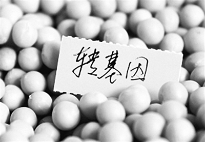 轉(zhuǎn)基因食品將強(qiáng)退校園 臺(tái)灣打算和轉(zhuǎn)基因説再見(jiàn)嗎?