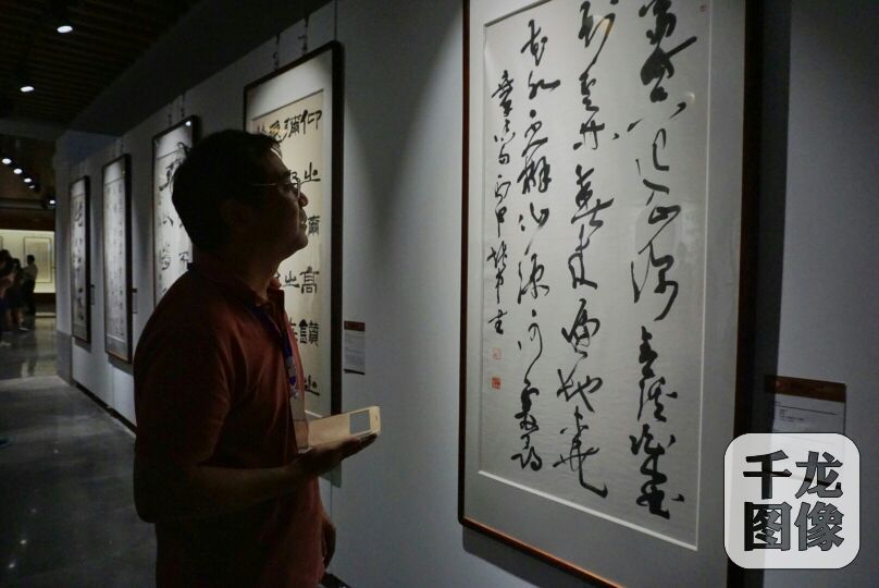 與會(huì)嘉賓參觀(guān)兩岸名家書(shū)法篆刻展。千龍網(wǎng)記者 張靜攝-1