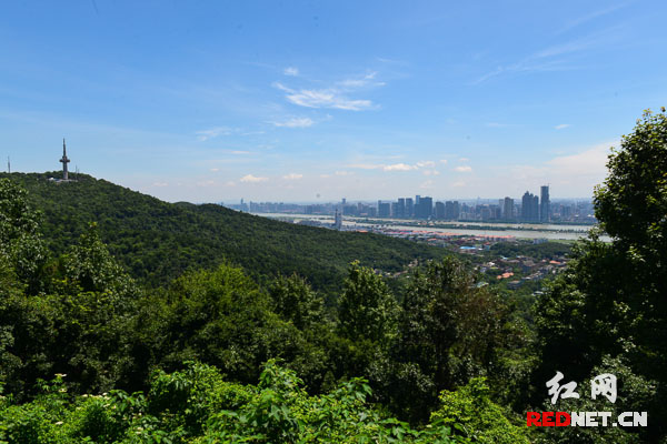 從岳麓山頂俯瞰長沙，山水洲城的景色盡收眼底。從1939年9月到1944年8月期間，中國軍隊與侵華日軍在以長沙為中心的第九戰(zhàn)區(qū)進行了4次大規(guī)模的激烈攻防戰(zhàn)，史稱“長沙會戰(zhàn)”。